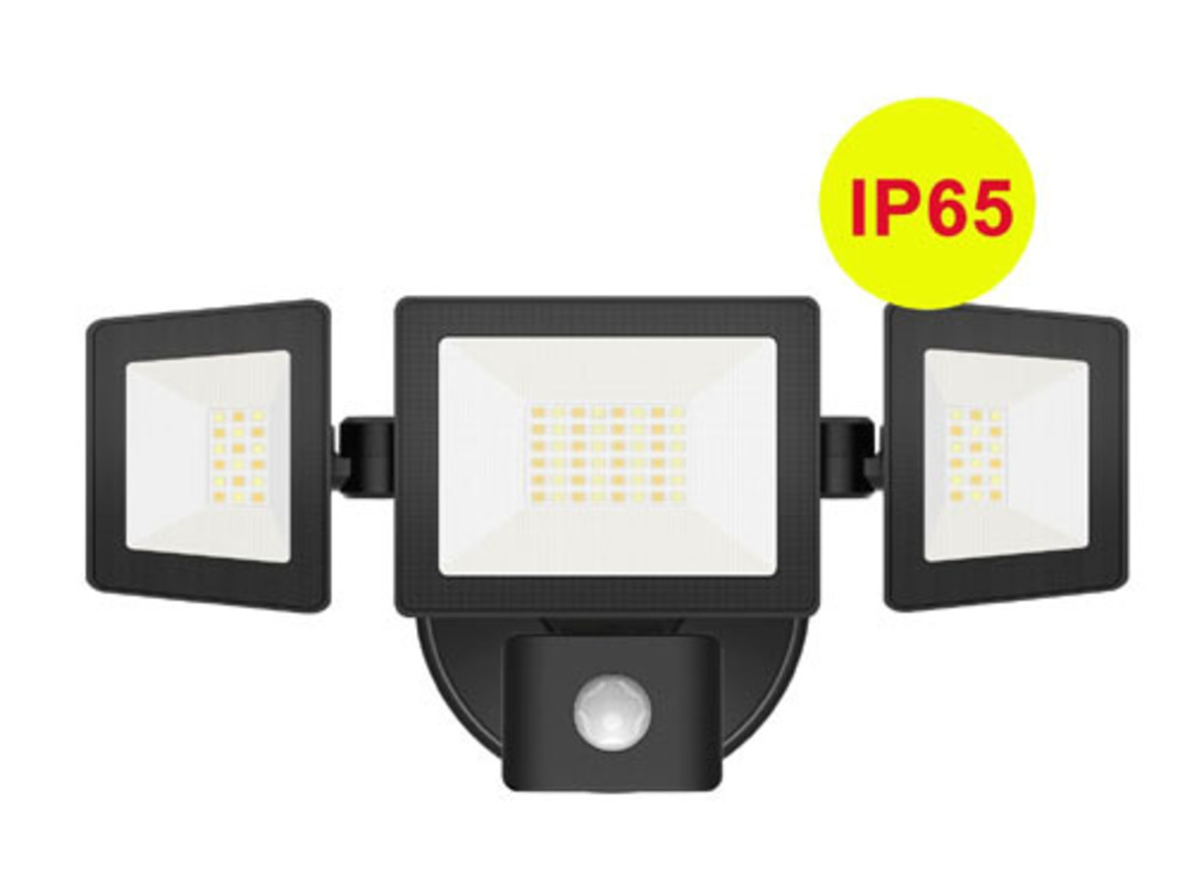 Triple Security Floodlight image 0